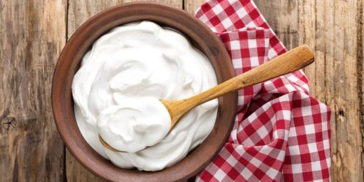 Aşçıların “sır” gibi sakladığı yoğurt mayalama yöntemi