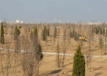 Atatürk Havalimanı Millet Bahçesi’nde sona gelindi