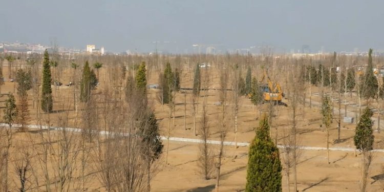 Atatürk Havalimanı Millet Bahçesi’nde sona gelindi