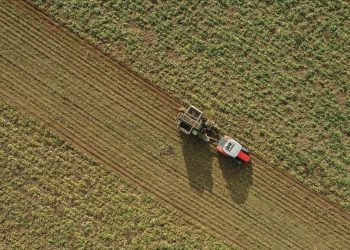Atıl arazilerde tarımsal üretim destekleri açıklandı
