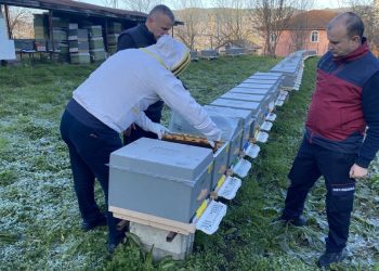 Bartın’da yüksek hava sıcaklıkları arıcılığı da vurdu