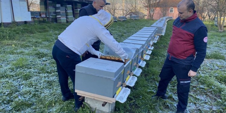 Bartın’da yüksek hava sıcaklıkları arıcılığı da vurdu