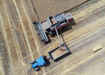 Buğday ihracat hedefi 5 milyar dolara çıktı