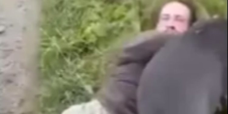 İngiltere’deki baba, kızı ile buluşan adama köpekle saldırdı