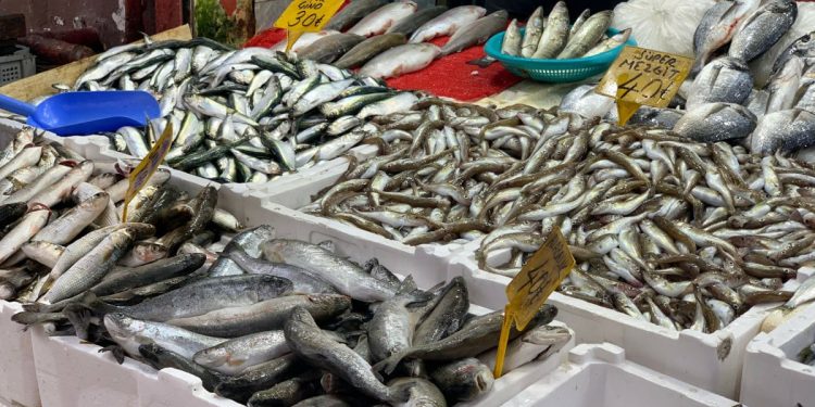 Karadeniz’de havaların soğumasıyla tezgahlar balıkla doldu