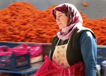 Konya’da ocak ayında havucun elle sökümü yapılıyor