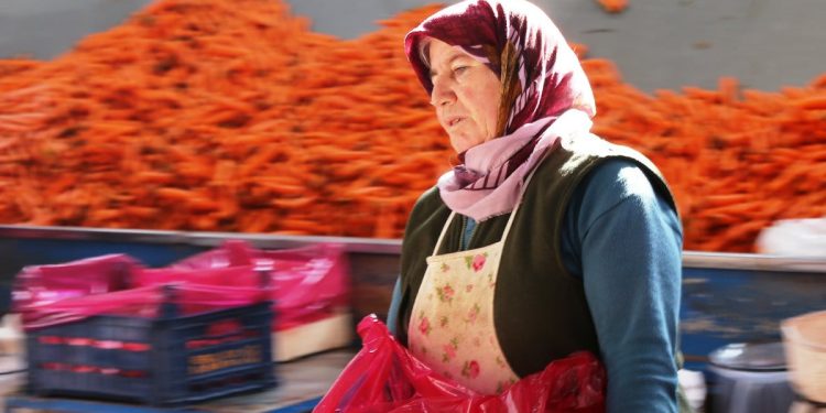 Konya’da ocak ayında havucun elle sökümü yapılıyor