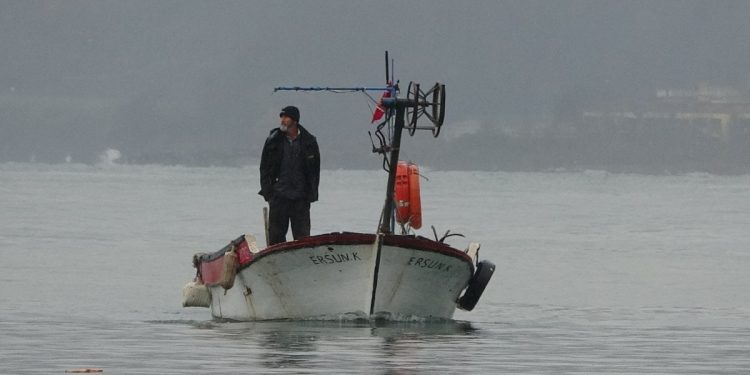 Ordu’da ağ atamayan balıkçılar fiyatları yükseltti