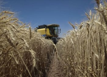 TARSİM’den 2022’de 4,8 milyar lira prim desteği