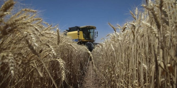 TARSİM’den 2022’de 4,8 milyar lira prim desteği