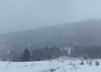 Uludağ’da kar yağışı yeniden başladı