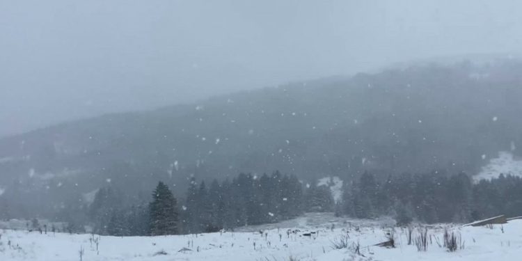 Uludağ’da kar yağışı yeniden başladı