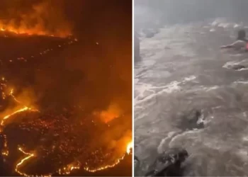 Alevlerin sardığı turizm cenneti Hawaii’den denize atlayarak kaçmaya çalışıyorlar: 55 ölü, bin kayıp