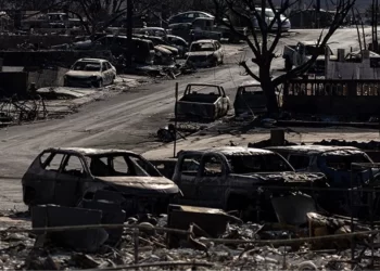 Hawaii’deki orman yangınlarında can kaybı 111’e yükseldi! Adayı yeniden inşa etmek 5 milyar dolara mal olacak