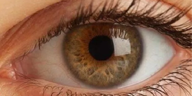 Romatizmal Hastalıklar Göz Sağlığını Etkileyebilir